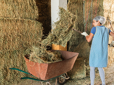 Alternatív hőszigetlések - szalma