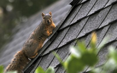 Indul a hőszigetelés szezon, oszlassunk el néhány tévhitet!